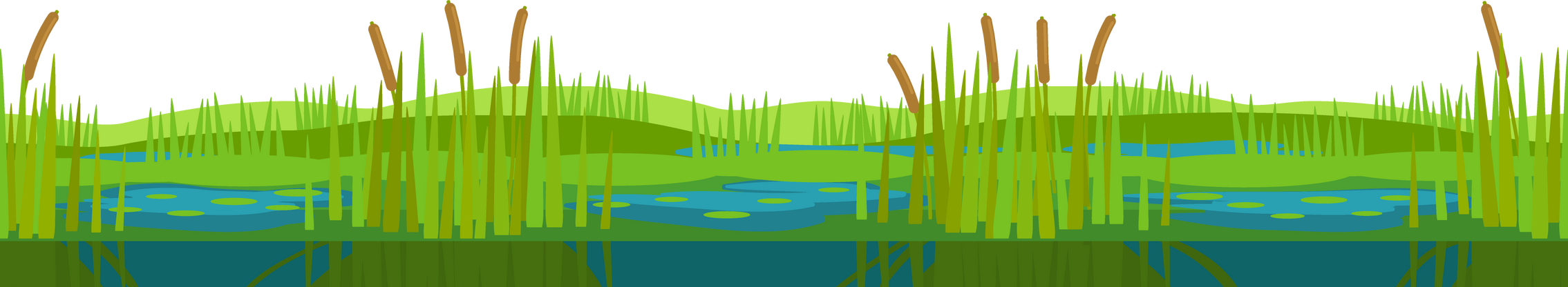 Swamp with reeds, lake or river water, green grass