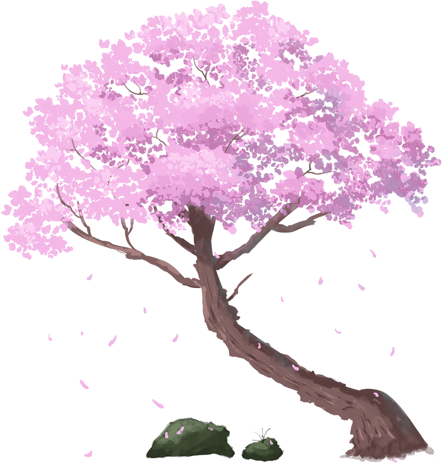 Cherry Blossom Tree